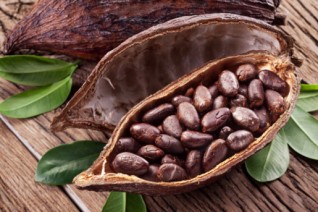 cacao (1)